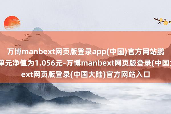 万博manbext网页版登录app(中国)官方网站鹏华丰玉债券A最新单元净值为1.056元-万博manbext网页版登录(中国大陆)官方网站入口
